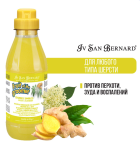 Iv San Bernard Ginger and Elderbery шампунь против перхоти, 500 мл
