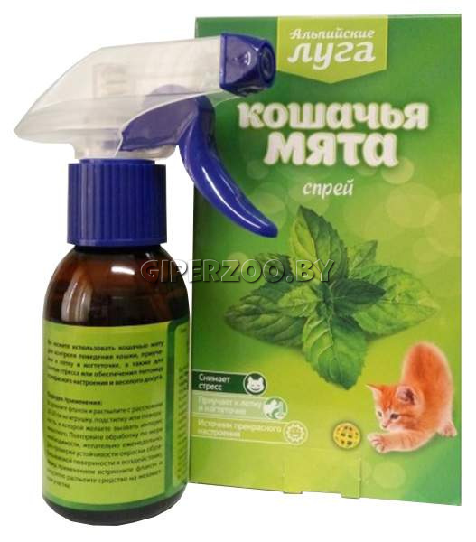 Кошачья мята спрей 50 мл. Кошачья мята спрей 50 мл.