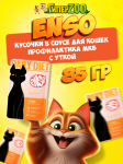 Enso Daily Diet Adult Cat (утка), 85 гр