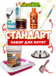 Набор для котенка Стандартный