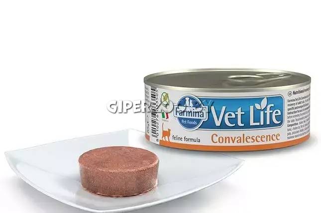 Farmina Vet Life Natural Diet Cat Convalescence (курица), 85 гр Farmina Vet Life Natural Diet Cat Convalescence (курица), 85 гр