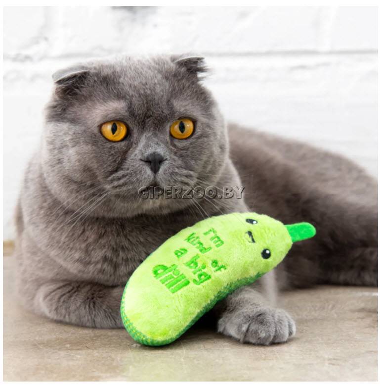 Catstages Dental Игрушка Огурец крутыш с кошачьей мятой, 15 см