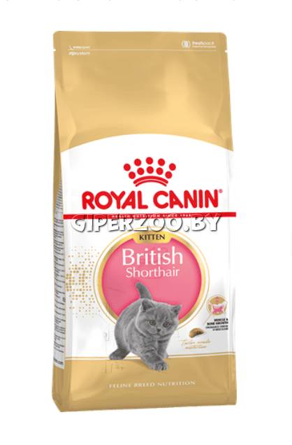 Royal Canin Kitten British Shorthair, 400 гр Royal Canin Kitten British Shorthair, 400 гр