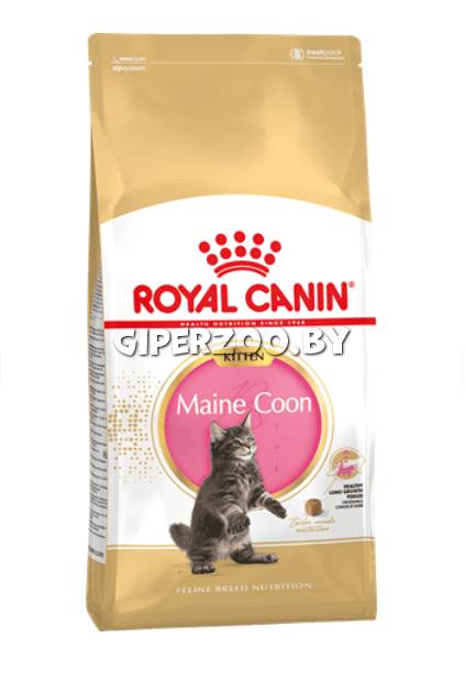 Royal Canin Kitten Maine Coon, 400 гр Royal Canin Kitten Maine Coon, 400 гр
