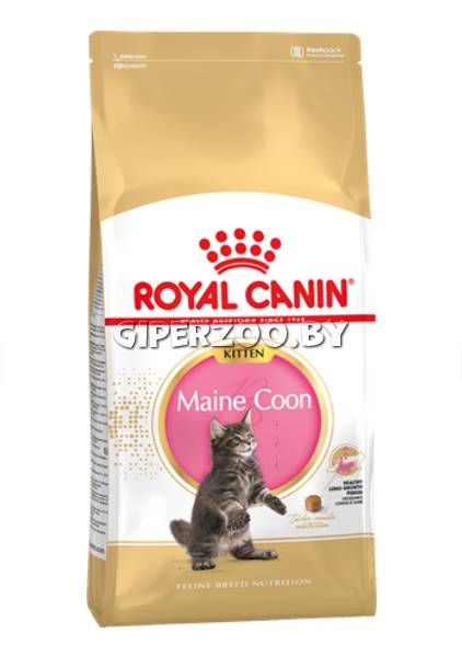 Royal Canin Kitten Maine Coon, 4 кг Royal Canin Kitten Maine Coon, 4 кг