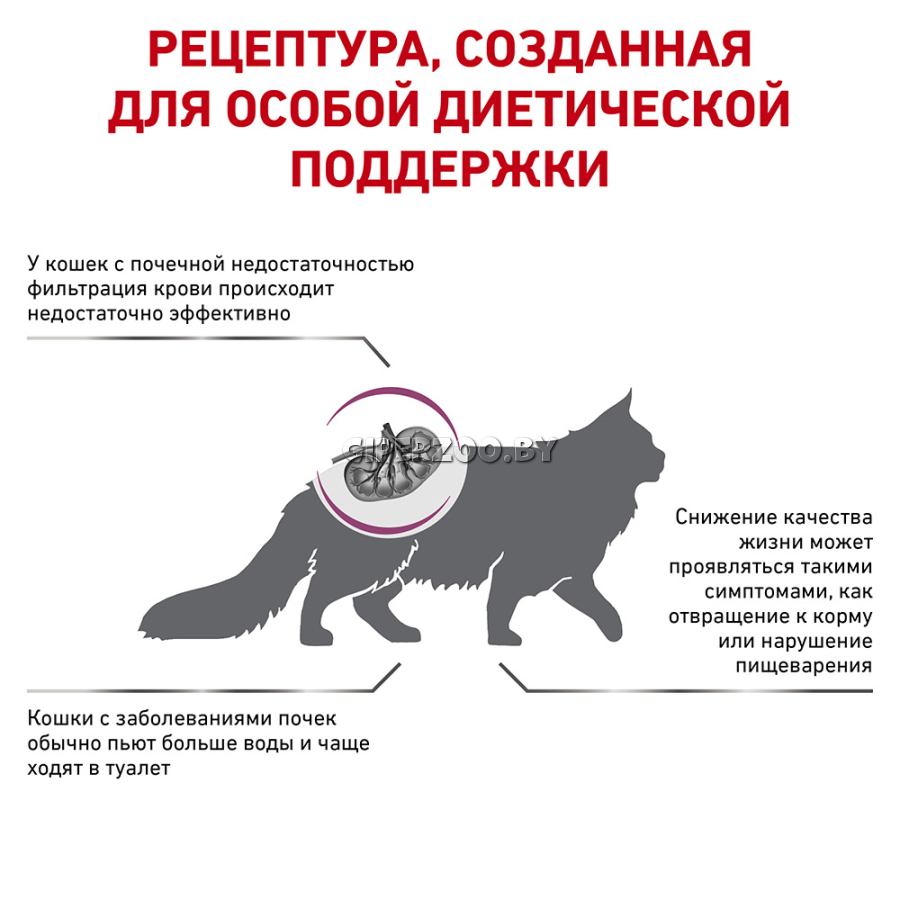 Royal Canin Renal Special Cat, 2 кг Royal Canin Renal Special Cat, 2 кг
