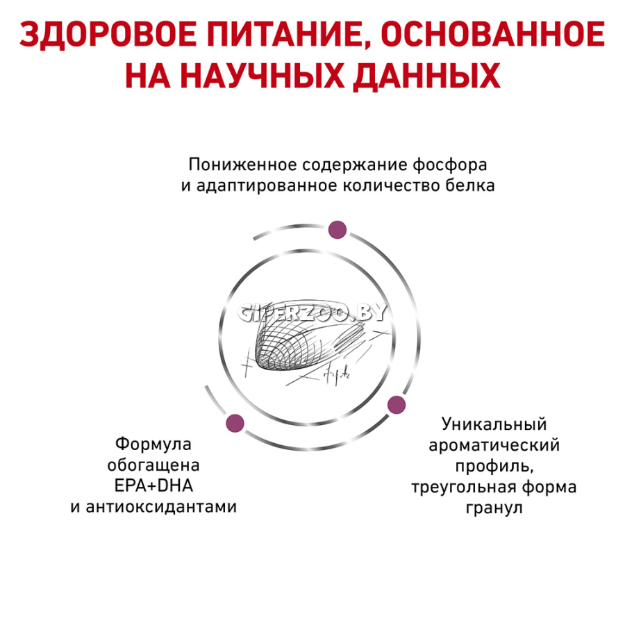 Royal Canin Renal Special Cat, 2 кг Royal Canin Renal Special Cat, 2 кг