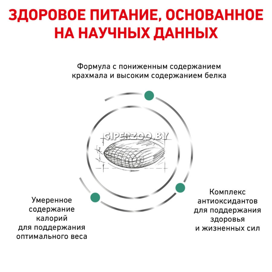 Royal Canin Diabetic Cat, 400 гр Royal Canin Diabetic Cat, 400 гр