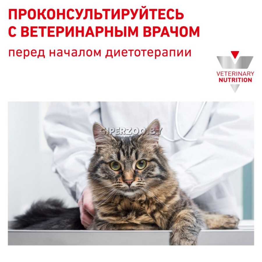 Royal Canin Hypoallergenic Cat, 500 гр Royal Canin Hypoallergenic Cat, 500 гр