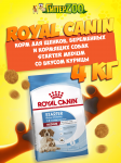 Royal Canin Starter Medium, 4 кг