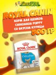 Royal Canin Chihuahua Junior, 500 гр