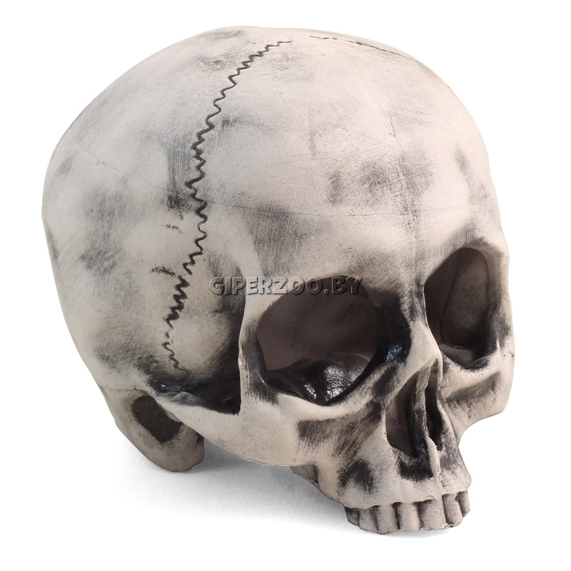 Декорация для аквариума LAGUNA Капитан Флинт 2808LD 10,8х10,8х11,8 см Декорация для аквариума LAGUNA Капитан Флинт 2808LD 10,8х10,8х11,8 см