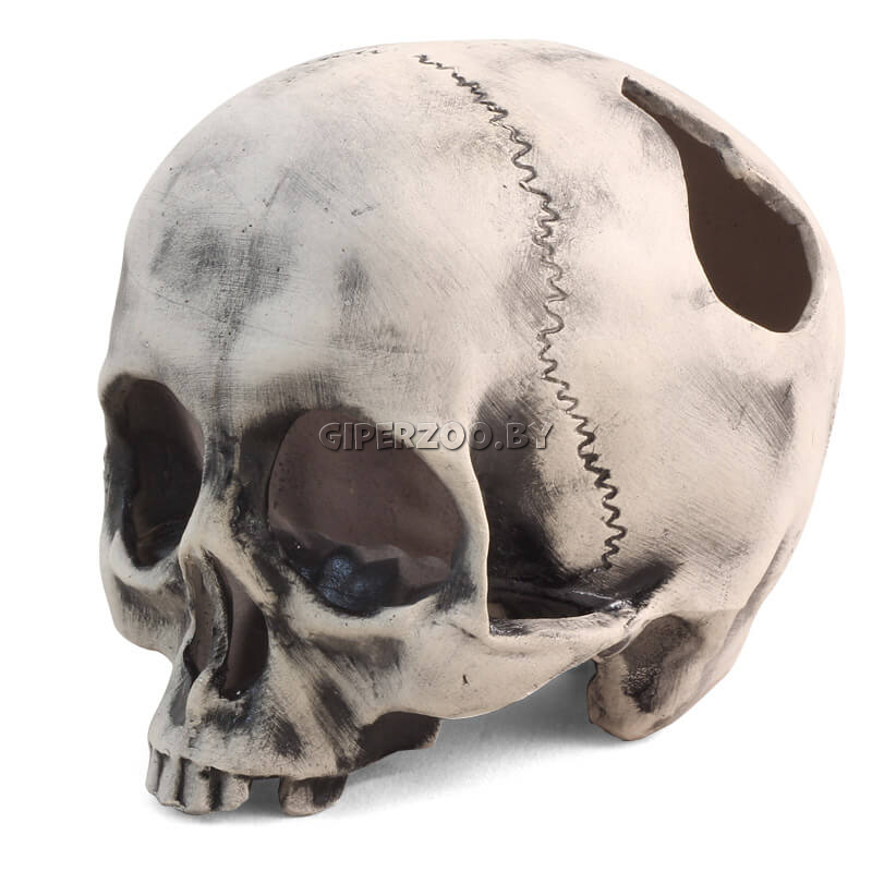 Декорация для аквариума LAGUNA Капитан Флинт 2808LD 10,8х10,8х11,8 см Декорация для аквариума LAGUNA Капитан Флинт 2808LD 10,8х10,8х11,8 см