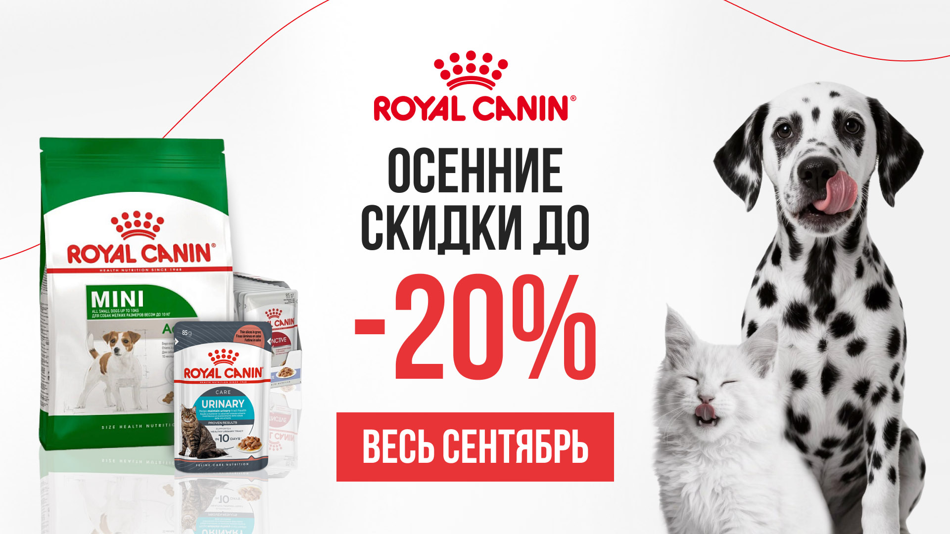 Скидки до -20% на корма Royal Canin весь сентябрь на ГиперЗОО.by