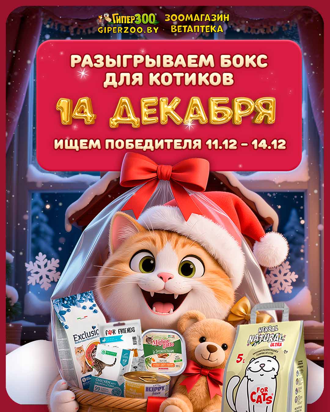 Розыгрыш бокса для котиков 14 декабря