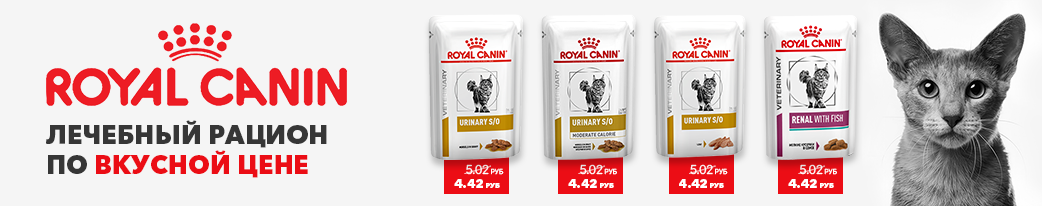 Купить Royal Canin для котов по скидке