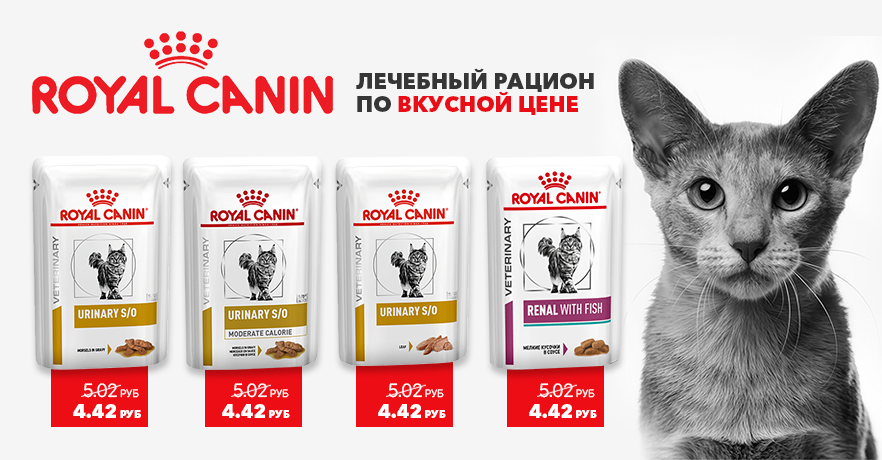 Купить влажный корм для котов Royal Canin по скидке