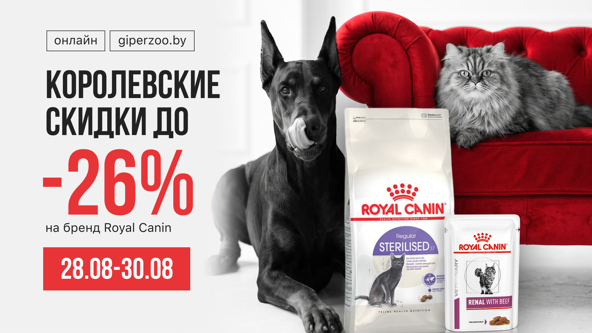 Скидки до -26% на Royal Canin в ГиперЗОО