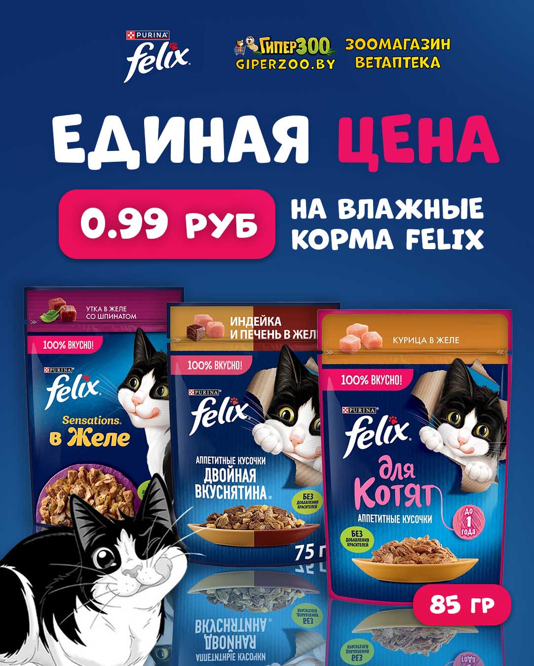 0,99 BYN &mdash; все влажные корма Felix
