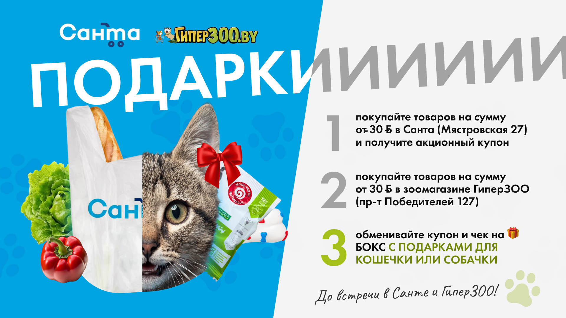 Подарки для собак и кошек от ГиперЗОО и Санты
