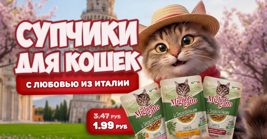Скидки на супчики Miglior Gatto в ГиперЗОО