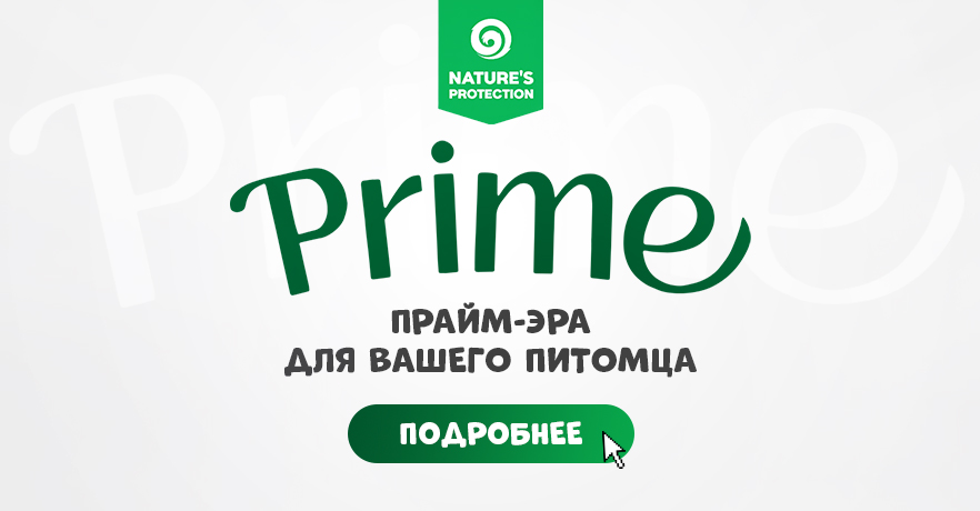 Новая линейка влажных кормов от Nature’s Protection