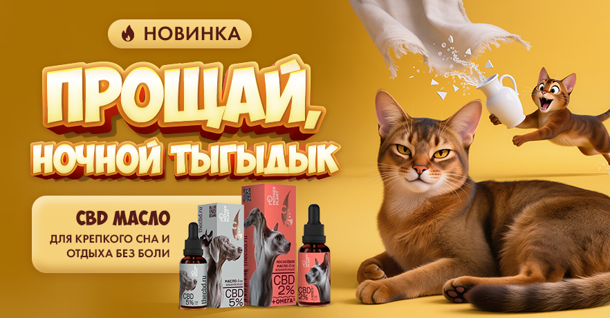 Лососевое масло с КБД (CBD) для собак и кошек — уже в ГиперЗОО