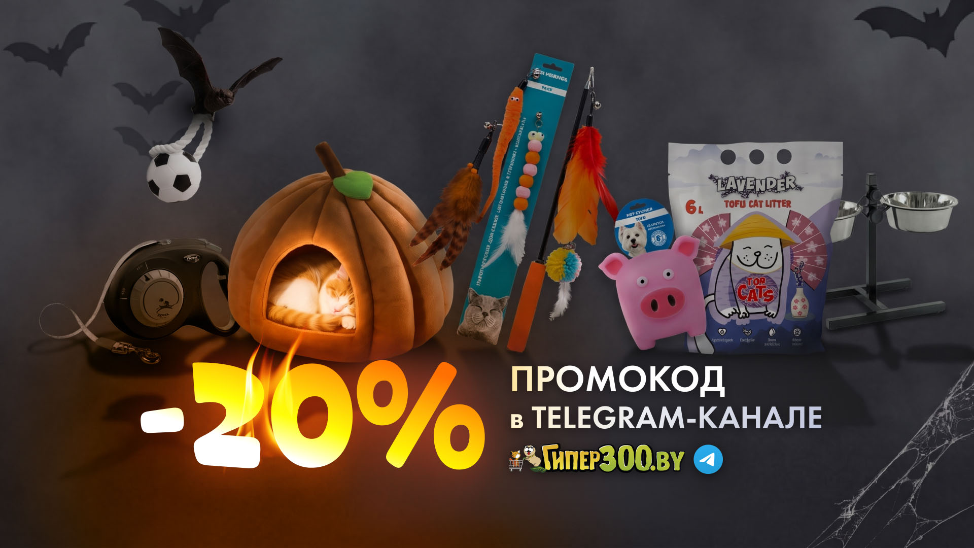 Забирайте секретные промокоды на товары для животных в Telegram-канале ГиперЗОО