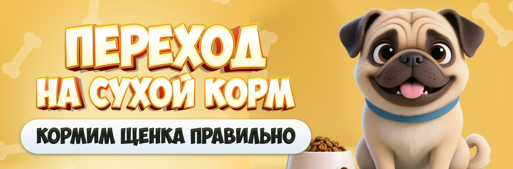 Переход щенка на сухой корм: как правильно переводить и избежать ошибок