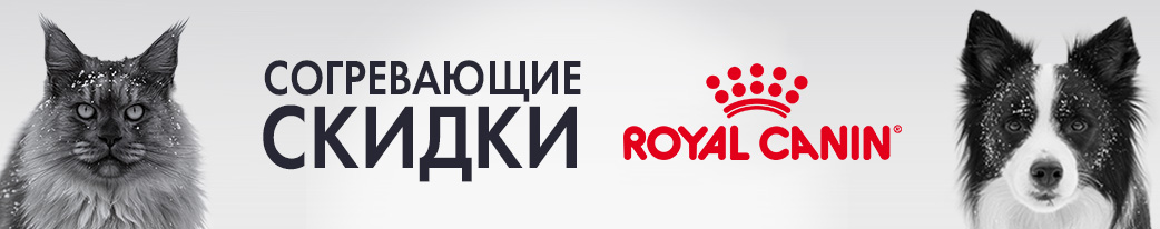 Согревающие скидки на Royal Canin в ГиперЗОО