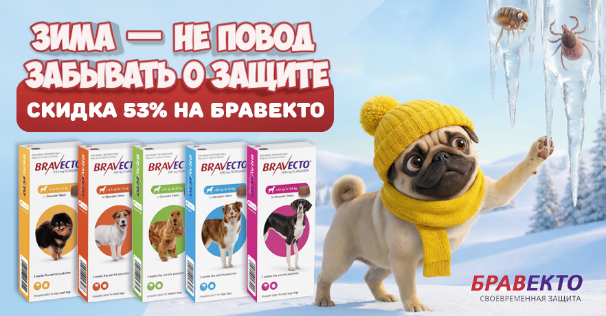 Купить Бравекто со скидкой по акции