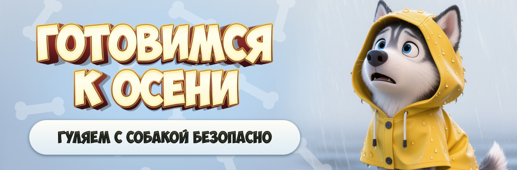 Прогулка с собакой осенью