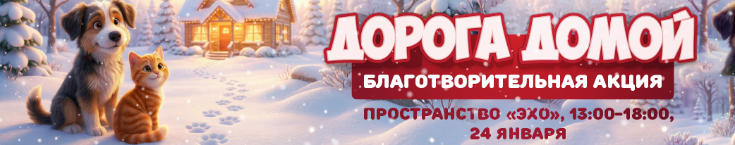 Помощь бездомным животным Беларуси