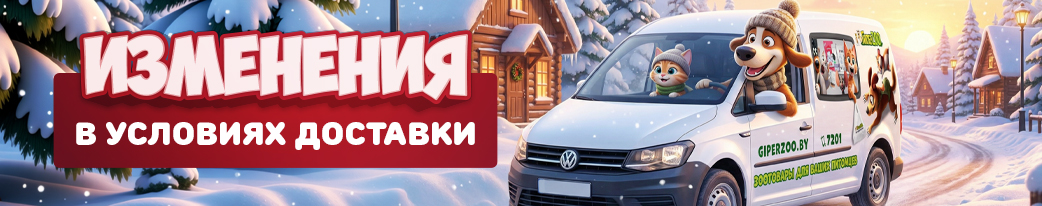 Изменения в условиях доставки по РБ