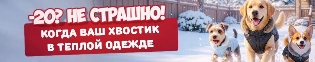 Купить одежду для собак в Минске