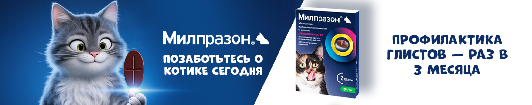 Милпразон покупай, про профилактику не забывай!