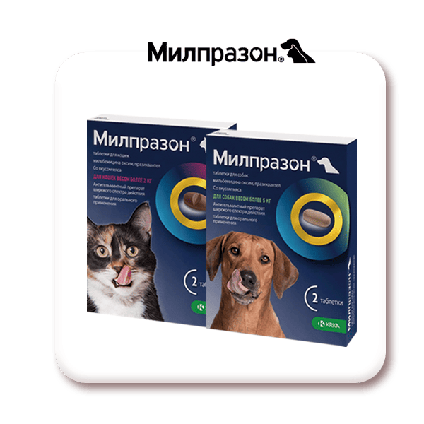 Купить таблетки от глистов Милпразон для кошек и собак со скидкой в ГиперЗОО