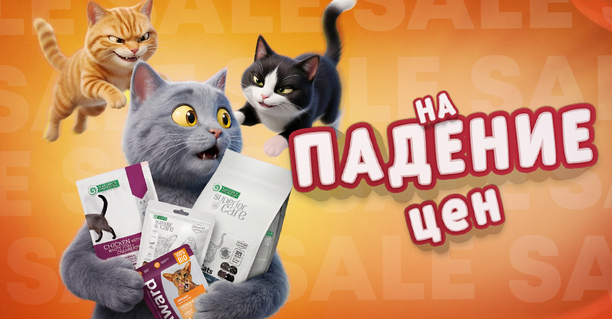Зоотовары для котиков на скидках