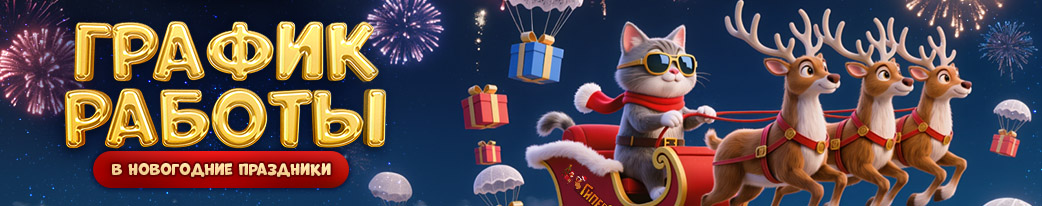 График работы ГиперЗОО в новогодние праздники