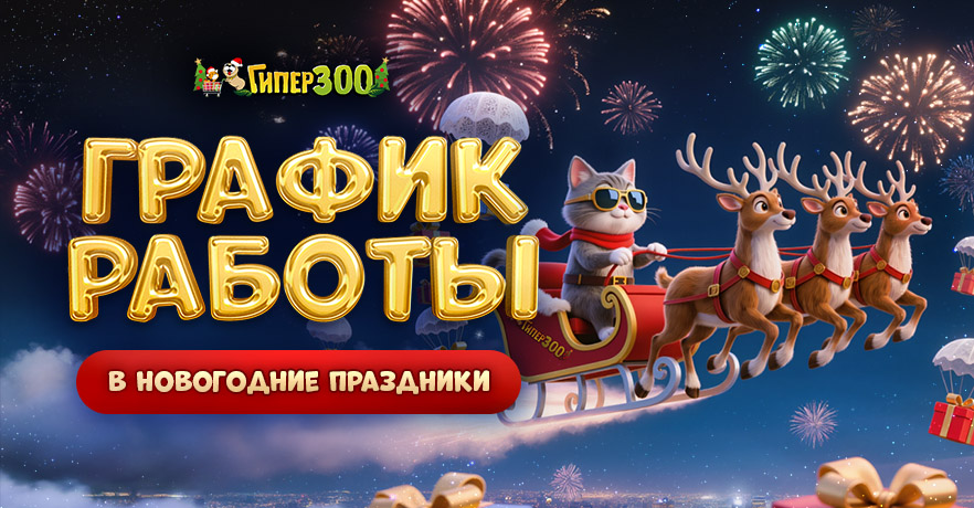 График работы магазинов ГиперЗОО в новогодние праздники