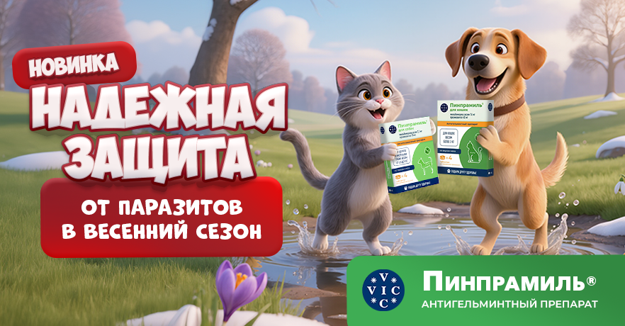 Купить таблетки от глистов для кошек и собак в Минске 