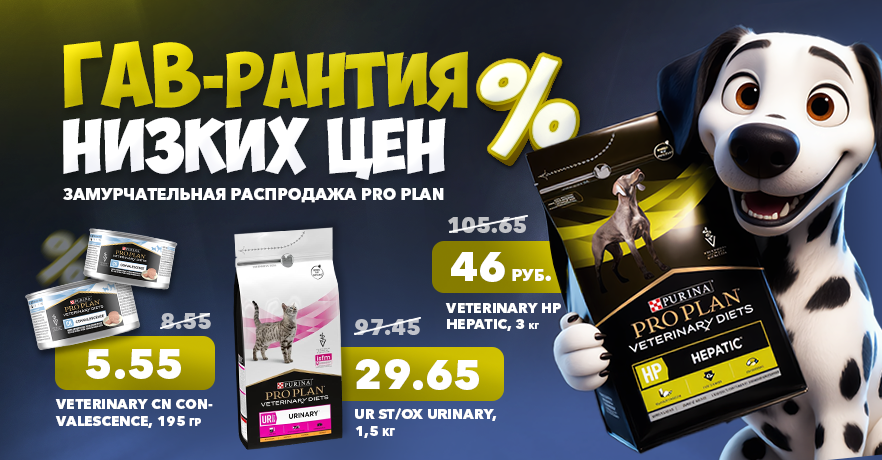 Купить Pro Plan со скидкой в Минске