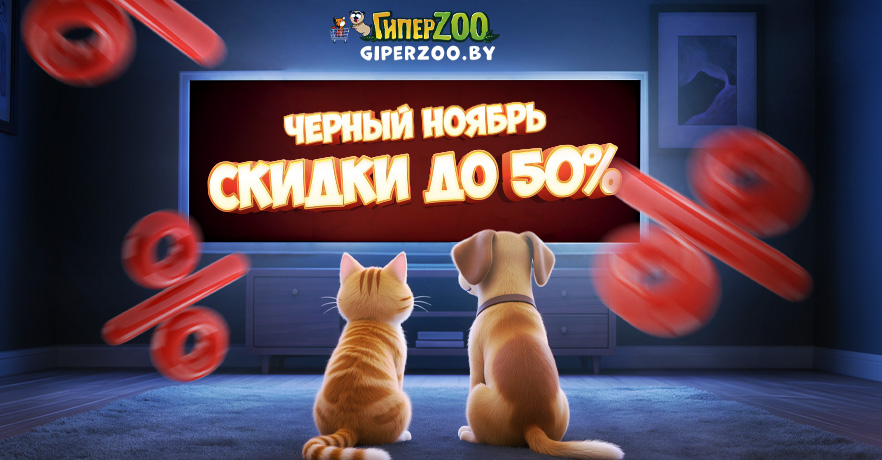 Скидки на зоотовары в ГиперЗОО - черный ноябрь