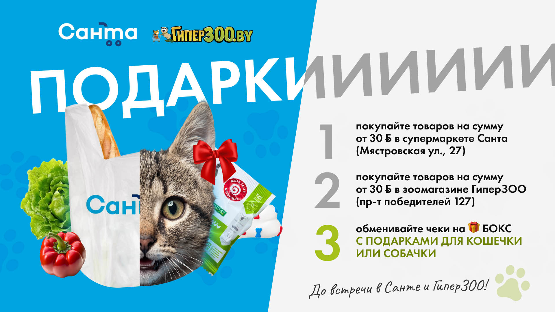 Подарки для кошек и собак от ГиперЗОО и Санты
