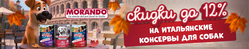 Скидка на премиальные итальянские консервы для собак