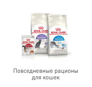 Скидки на сухой корм для кошек Роял Канин