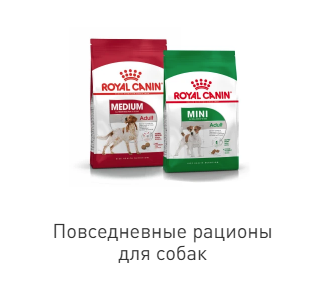 Скидки на сухой корм для собак Роял Канин