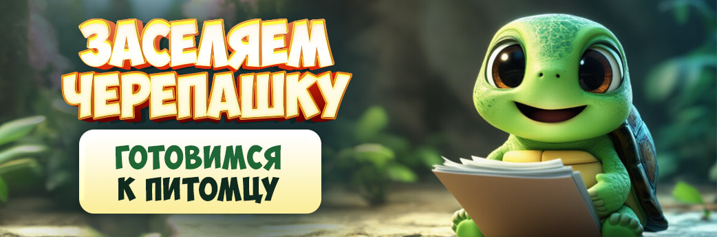 Подготовка к покупке черепахи