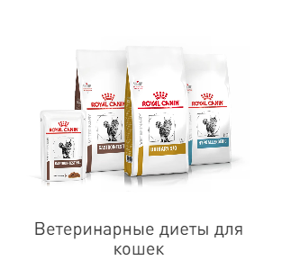 Скидки на ветеринарный корм Роял Канин для кошек