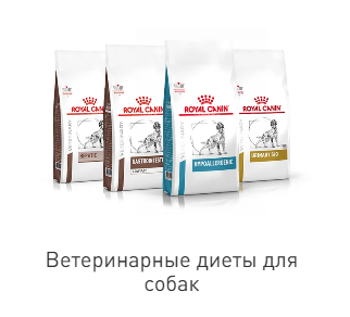 Скидки на ветеринарный корм Роял Канин для собак